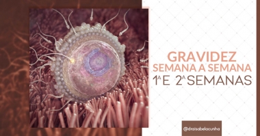 Gravidez Semana a Semana  -  1ª e 2ª Semanas